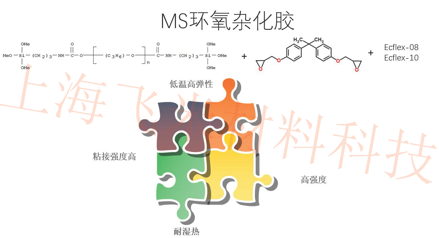 MS�����ӻ����̻���-�Ϻ�����